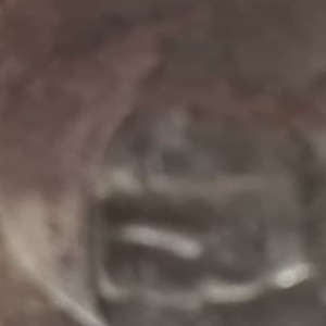 Ausschnitt zur Qualitätsprüfung vom Digitalen Bild Qualität