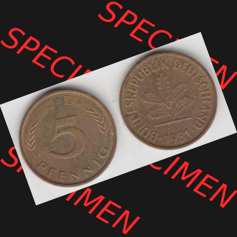 BRD Münze aus Deutschland 1950-2001, 5 Pfennig / 5 Pf. 1981 D - Vollansicht II. als Bildmaterial innerhalb vom online Katalog und online Datenbank für Münzen der... Sammlung
