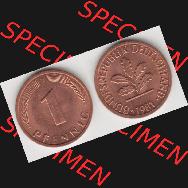 BRD Münze aus Deutschland 1950-2001, 1 Pfennig / 1 Pf. 1981 D - Vollansicht II.. Bild der Vorderseite und Rückseite einer 1 Pfennig Münze der Bundesrepublik... Sammlung