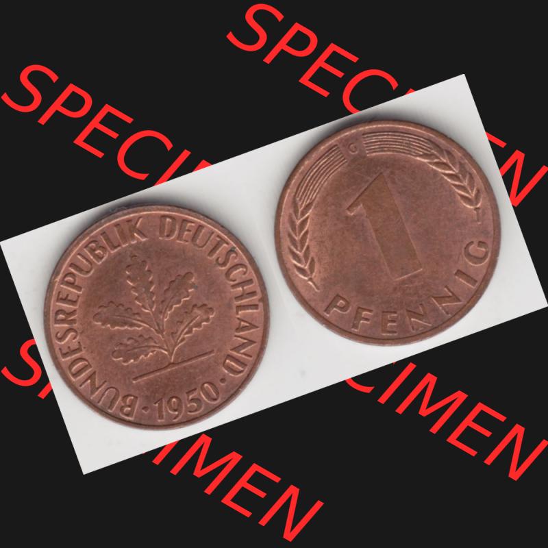 BRD Münze aus Deutschland 1950-2001, 1 Pfennig / 1 Pf. 1950 G - Vollansicht I.. Bild der Vorderseite und Rückseite einer 1 Pfennig Münze der Bundesrepublik... Sammlung