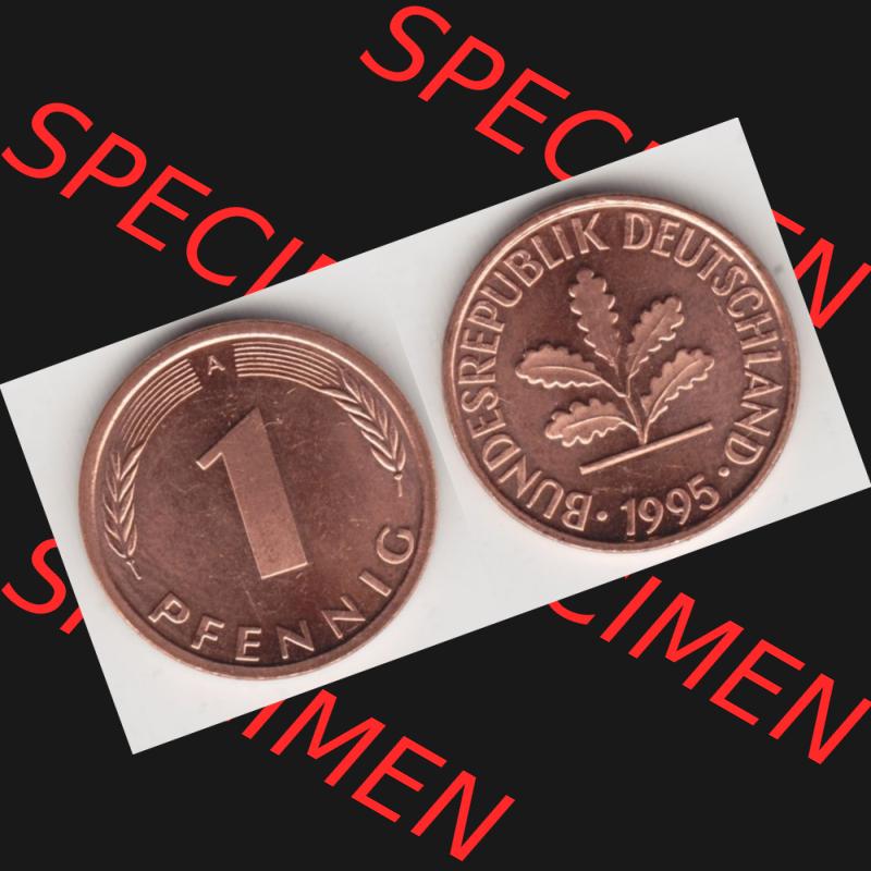 BRD Münze aus Deutschland 1991-2001, 1 Pfennig / 1 Pf. 1995 A - Vollansicht II.. Bild der Vorderseite und Rückseite einer 1 Pfennig Münze der Bundesrepublik... Sammlung