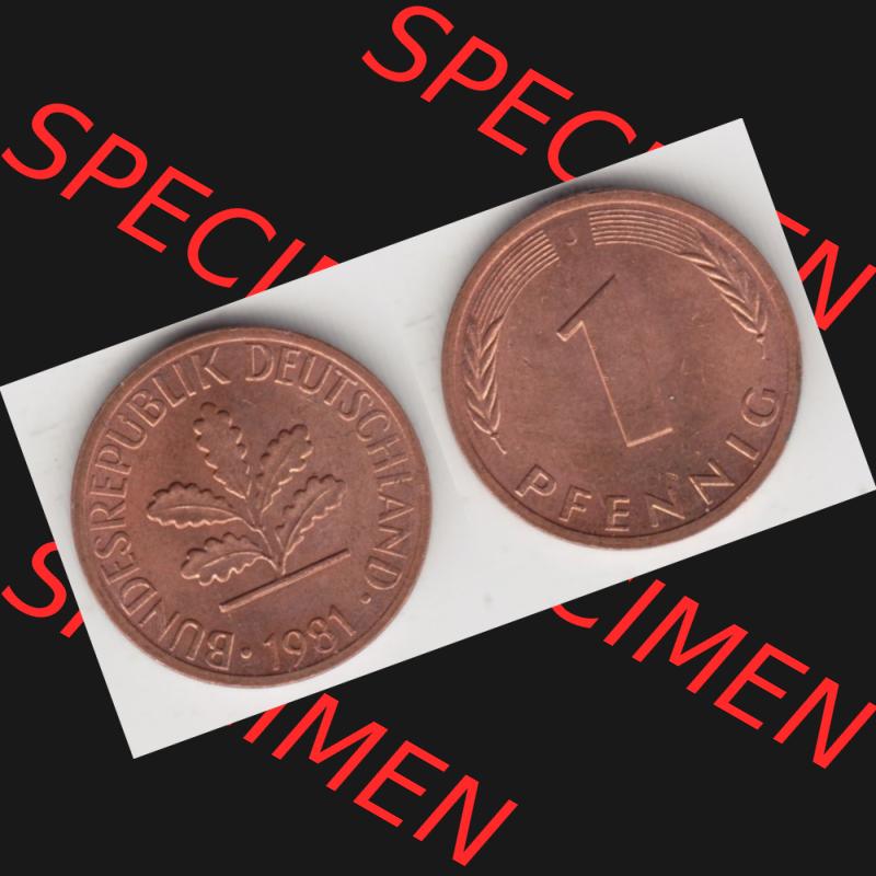 BRD Münze aus Deutschland 1950-2001, 1 Pfennig / 1 Pf. 1981 J - Vollansicht I.. Bild der Vorderseite und Rückseite einer 1 Pfennig Münze der Bundesrepublik... Sammlung
