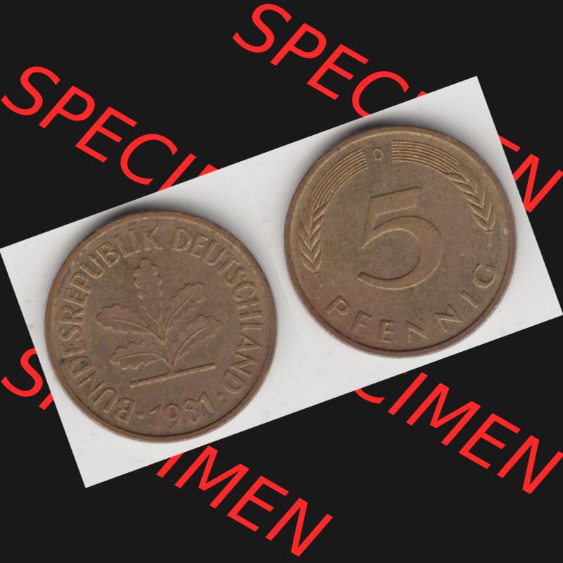 BRD Münze aus Deutschland 1950-2001, 5 Pfennig / 5 Pf. 1981 D - Vollansicht I. als Bildmaterial innerhalb vom online Katalog und online Datenbank für Münzen der BRD... Sammlung