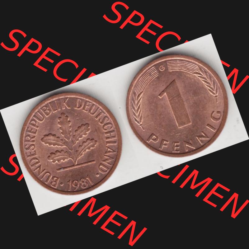 BRD Münze aus Deutschland 1950-2001, 1 Pfennig / 1 Pf. 1981 G - Vollansicht I.. Bild der Vorderseite und Rückseite einer 1 Pfennig Münze der Bundesrepublik... Sammlung