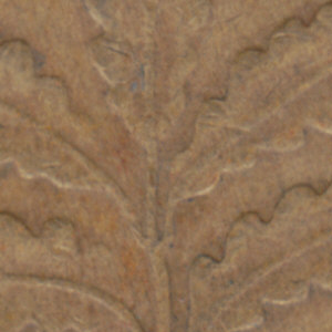 Ausschnitt zur Qualitätsprüfung vom Digitalen Bild Qualität