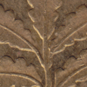 Ausschnitt zur Qualitätsprüfung vom Digitalen Bild Qualität