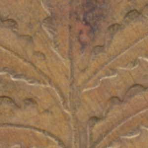 Ausschnitt zur Qualitätsprüfung vom Digitalen Bild Qualität