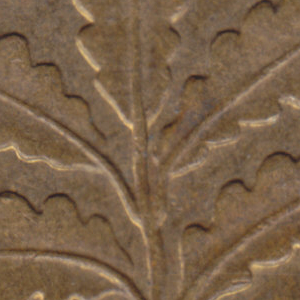 Ausschnitt zur Qualitätsprüfung vom Digitalen Bild Qualität