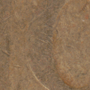 Ausschnitt zur Qualitätsprüfung vom Digitalen Bild Qualität