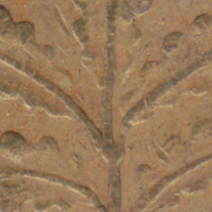 Ausschnitt zur Qualitätsprüfung vom Digitalen Bild Qualität