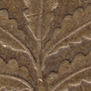 Ausschnitt zur Qualitätsprüfung vom Digitalen Bild Qualität