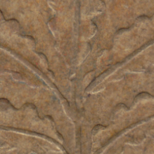 Ausschnitt zur Qualitätsprüfung vom Digitalen Bild Qualität