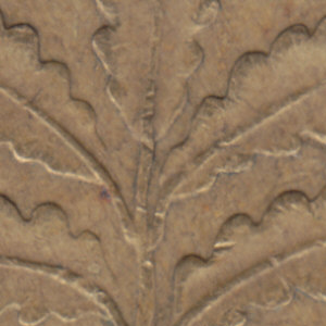 Ausschnitt zur Qualitätsprüfung vom Digitalen Bild Qualität