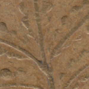 Ausschnitt zur Qualitätsprüfung vom Digitalen Bild Qualität