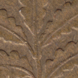 Ausschnitt zur Qualitätsprüfung vom Digitalen Bild Qualität