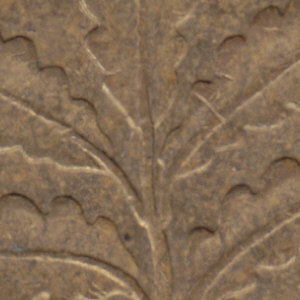 Ausschnitt zur Qualitätsprüfung vom Digitalen Bild Qualität