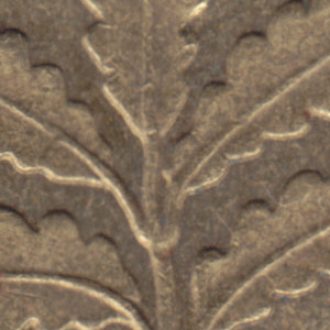 Ausschnitt zur Qualitätsprüfung vom Digitalen Bild Qualität