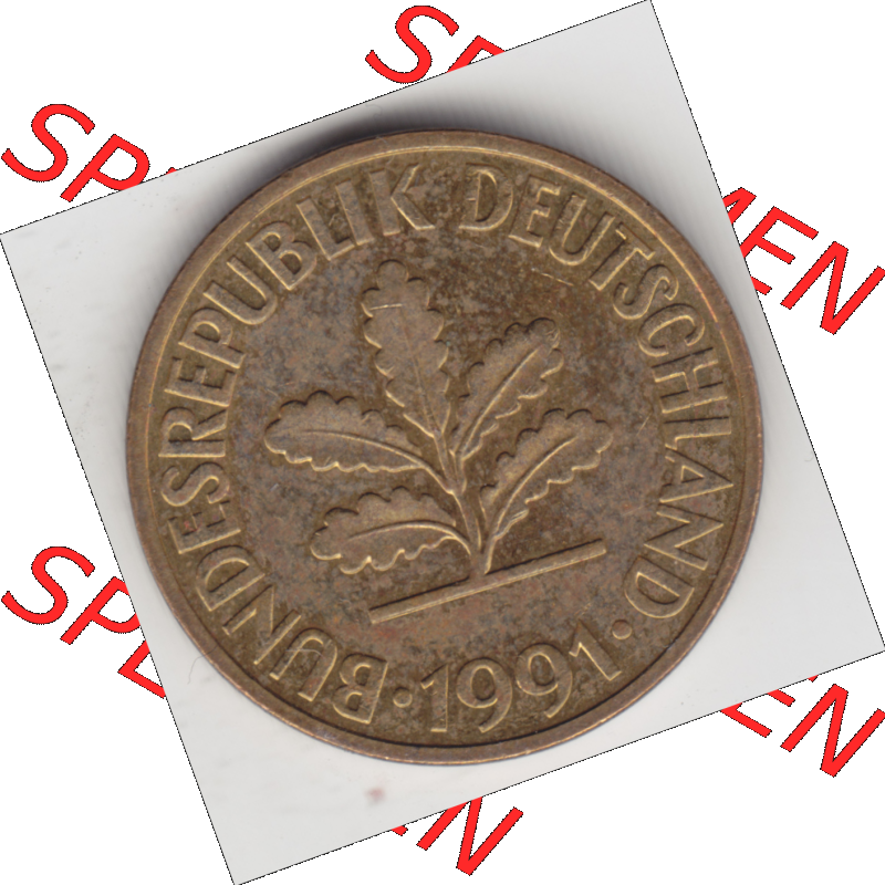 BRD Münze Deutschland Original Bild in PNG 1950-2001, Zehn 10 Pfennig 1991 D-01 Original Vorderseite Farbe (1) Sammlung