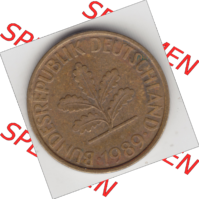 BRD Münze Deutschland Original Bild in PNG 1950-2001, Zehn 10 Pfennig 1989 J-01 Original Vorderseite Farbe (1) Sammlung