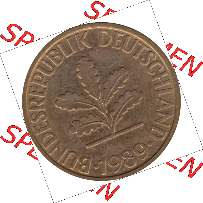 BRD Münze Deutschland Original Bild in PNG 1950-2001, Zehn 10 Pfennig 1989 G-10 VS ausgeschnitten Farbe (1) Sammlung