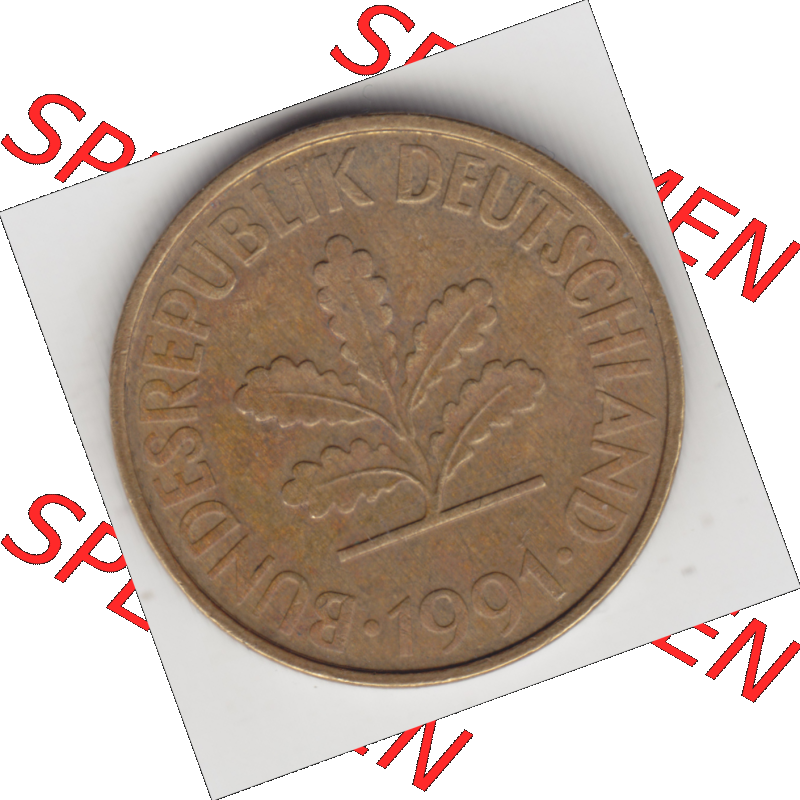 BRD Münze Deutschland Original Bild in PNG 1990-2001, Zehn 10 Pfennig 1991 A-04 Original Vorderseite Farbe (1) Sammlung