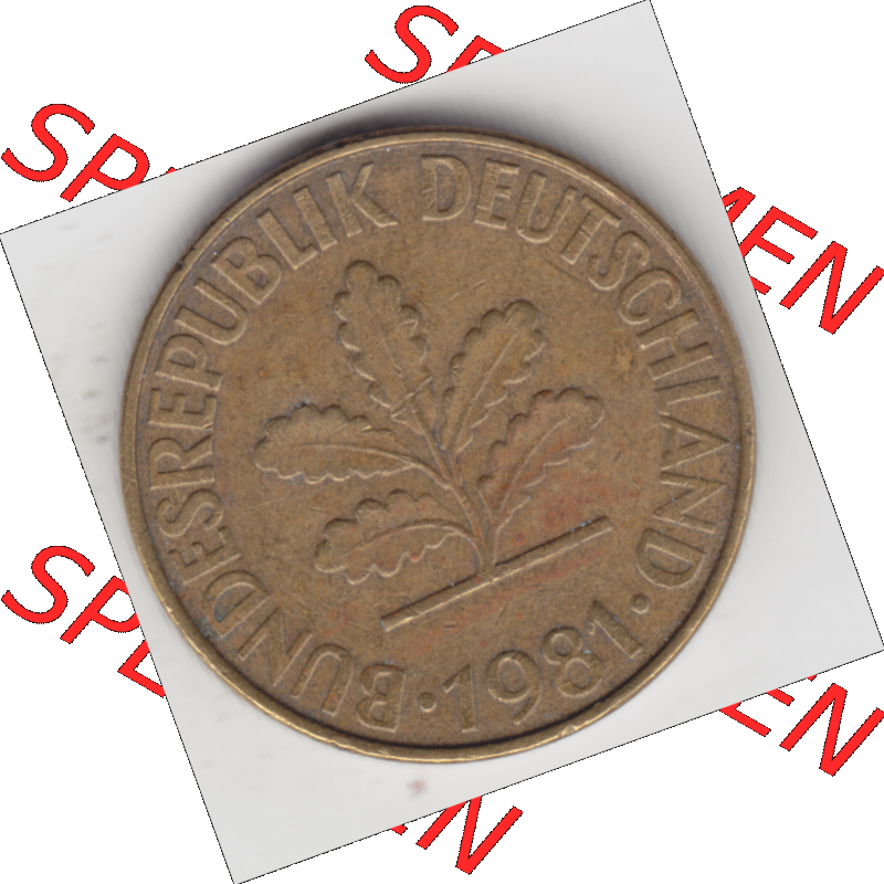 BRD Münze Deutschland Original Bild in PNG 1950-2001, Zehn 10 Pfennig 1981 F-01 Original Vorderseite Farbe (1) Sammlung