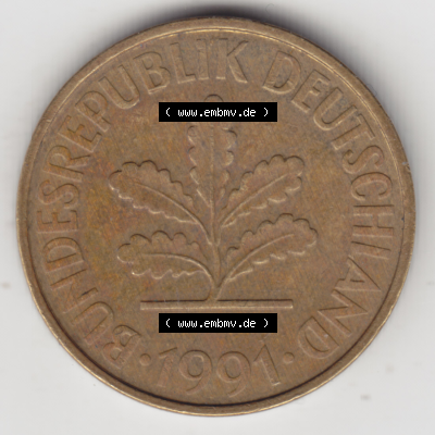 BRD Münze Deutschland Original Bild in PNG 1990-2001, Zehn 10 Pfennig 1991 A-04 Original Vorderseite Farbe (1) Sammlung