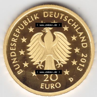 Goldmünzen 20 Euro 20 Euro Goldmünze 2013 Kiefer Rückseite zum herunterladen als Bildmaterial für ihre Sammlung der 20 Euro Goldmünzen aus Deutschland Sammlung