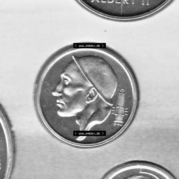 Grau bzw. s/w Münzen Belgien Umlaufmünze Münzsatz Sabena 1998 50 Centimes. Rückseite der alten belgischen Francs Umlaufmünze aus Belgien vor Einführung der Euromünzen in Belgien... Sammlung Graustufen
