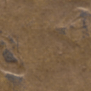 Ausschnitt zur Qualitätsprüfung vom Digitalen Bild Qualität