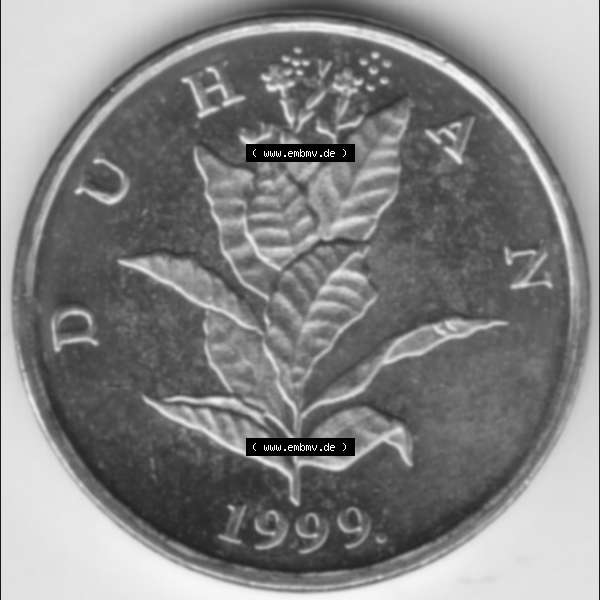 Grau bzw. s/w Münzen Kroatien Umlaufmünze 1999 5 Lipa, Bild mit Vorderseite der Münze als Bildmaterial Sammlung Graustufen