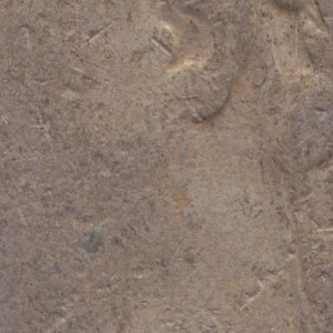 Ausschnitt zur Qualitätsprüfung vom Digitalen Bild Qualität