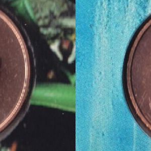 Ausschnitt zur Qualitätsprüfung vom Digitalen Bild Qualität