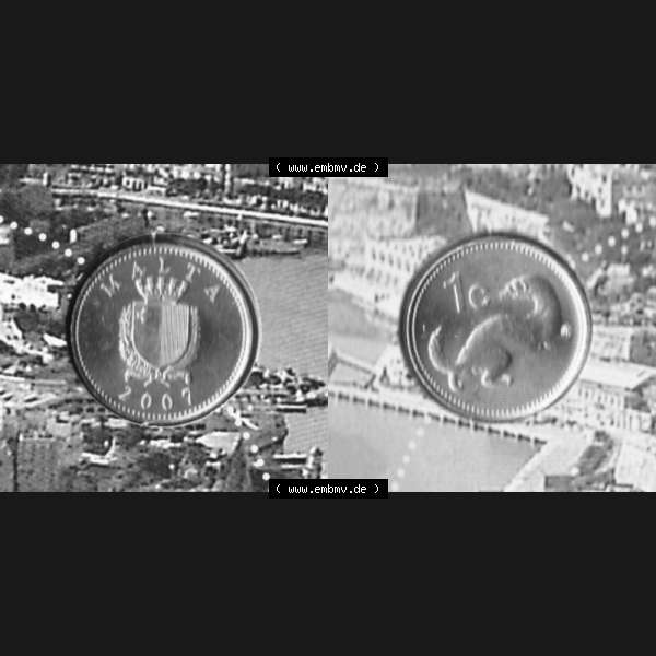 Grau bzw. s/w Münzen Malta Umlaufmünze 1991-2007, 1 Cent 2007 (3) Sammlung Graustufen
