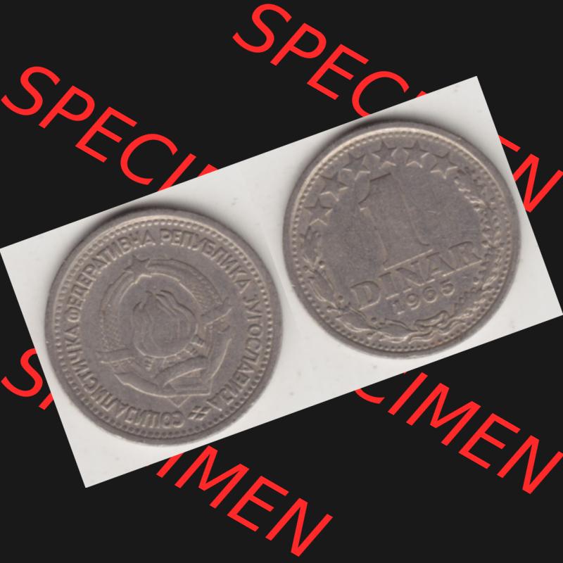 Münzen Jugoslawien Umlaufmünze 1965-1965, 1 Dinar 1965, Bild mit Vollansicht zum Download Sammlung