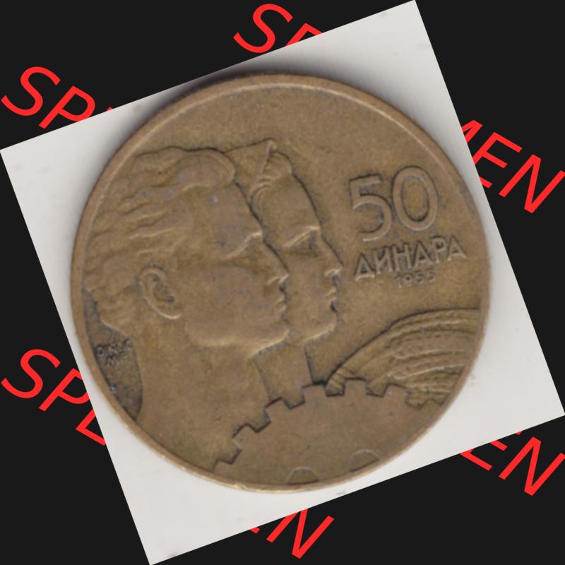 Münzen Jugoslawien Umlaufmünze 1955-1955, 50 Dinar 1955, Bild mit Rückseite der Münze zum Download Sammlung