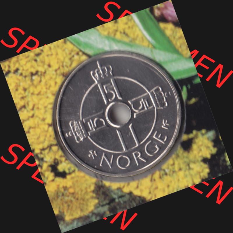 Münzen Norwegen Umlaufmünze 1997-2016, 1 Krone 2002, Bild mit Vorderseite der Münze aus Norwegen als Bildmaterial, für dich selbst Sammlung