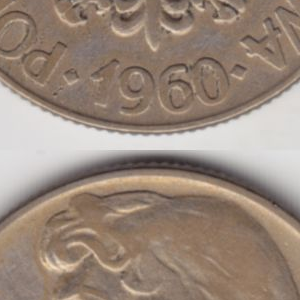 Ausschnitt zur Qualitätsprüfung vom Digitalen Bild Qualität