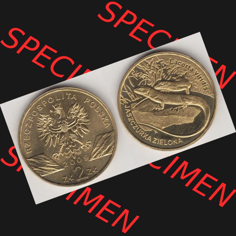 Münzen Polen Gedenkmünze 2009-2009, 2 Zloty, Europäische Grüne Eidechse, Bild mit Vollansicht als Bildmaterial Sammlung