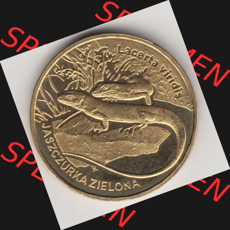 Münzen Polen Gedenkmünze 2009-2009, 2 Zloty, Europäische Grüne Eidechse, Bild mit Rückseite der Münze als Bildmaterial Sammlung
