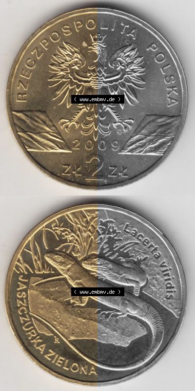 Münzen Polen Gedenkmünze 2009-2009, 2 Zloty, Europäische Grüne Eidechse, Münzseiten Untereinander als Bildmaterial Sammlung