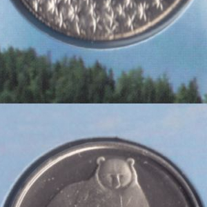 Qualität