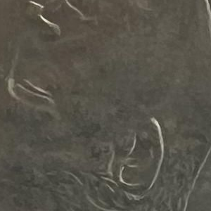Ausschnitt zur Qualitätsprüfung vom Digitalen Bild Qualität