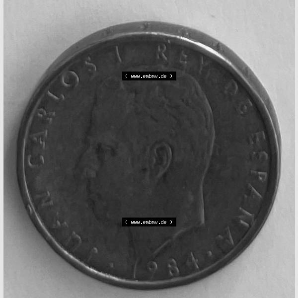 Grau bzw. s/w Münzen aus Spanien Bild (0001) 1984 100 Peseta Sammlung Graustufen