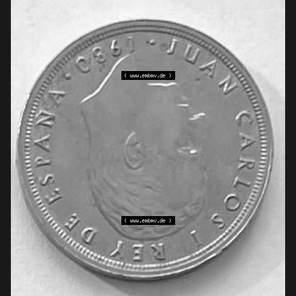 Grau bzw. s/w Münzen aus Spanien 50 PTAS 1980 (0015) Sammlung Graustufen