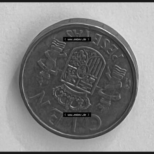 Grau bzw. s/w Münzen aus Spanien Bild (0002) 100 Peseta 1984 Sammlung Graustufen