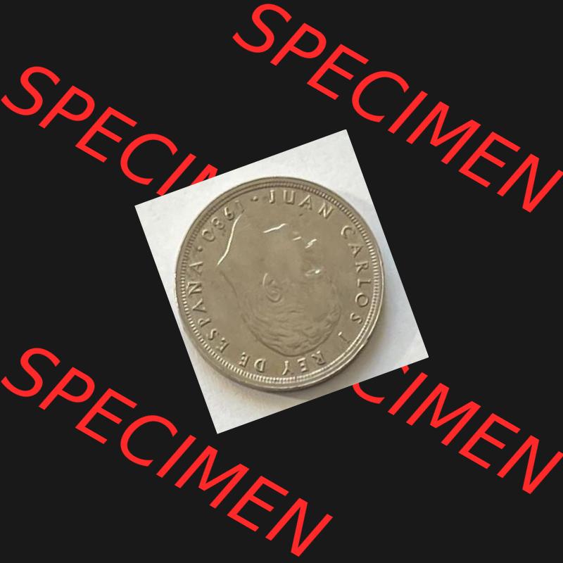 Münzen aus Spanien 50 PTAS 1980 (0015) Sammlung