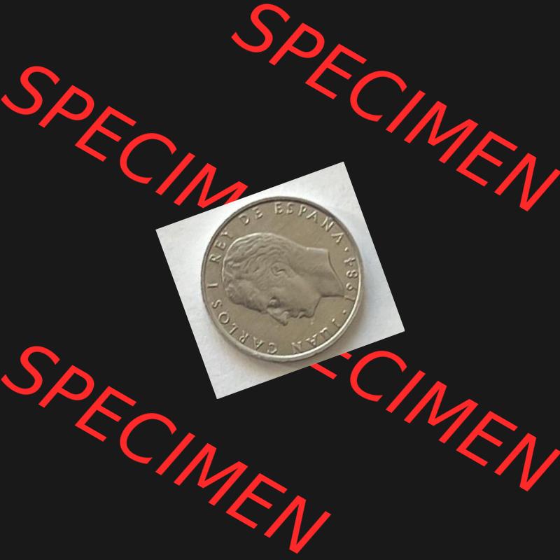 Münzen aus Spanien 2 PTAS 1984 (0014) Sammlung
