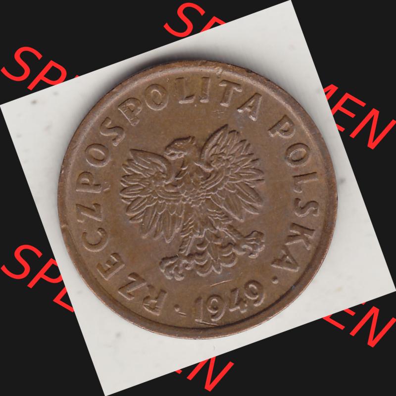 Münzen Polen KMS, Kursmünzensatz 1949-1949, Republik Polen 5 Groszy, Groschen, Bronze 1949-1. Vorderseite einer polnischen Münzen auf einen Digitalen Bild... Sammlung