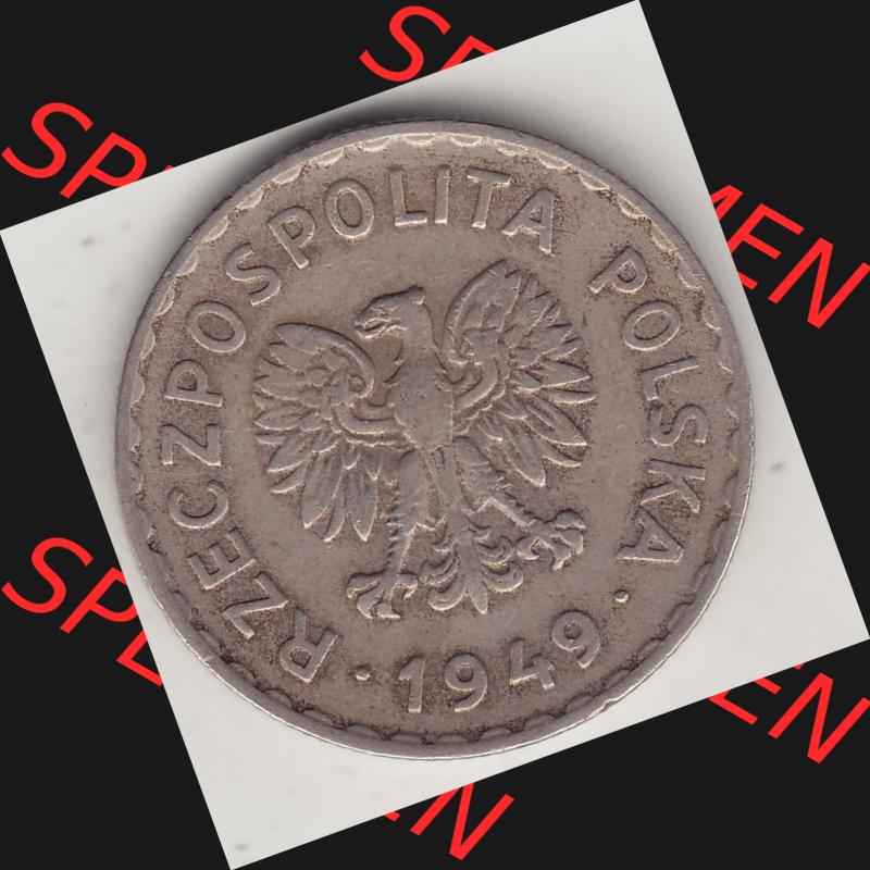 Münzen Polen KMS, Kursmünzensatz 1949-1949, Republik Polen 1 Zloty, Kupfer 1949-1. Vorderseite einer polnischen Münzen auf einen Digitalen Bild / Foto mit einer... Sammlung
